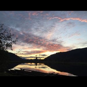 Meet your Posher, Shayla